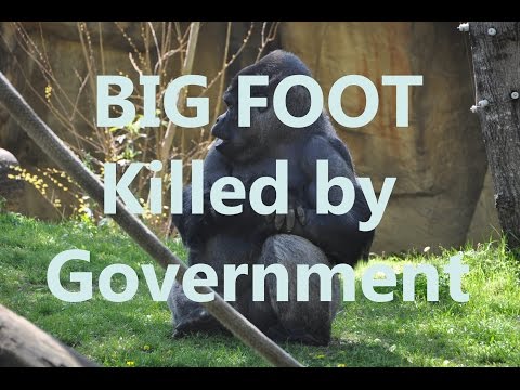 Cleveland Home Inspection Marko Vovk